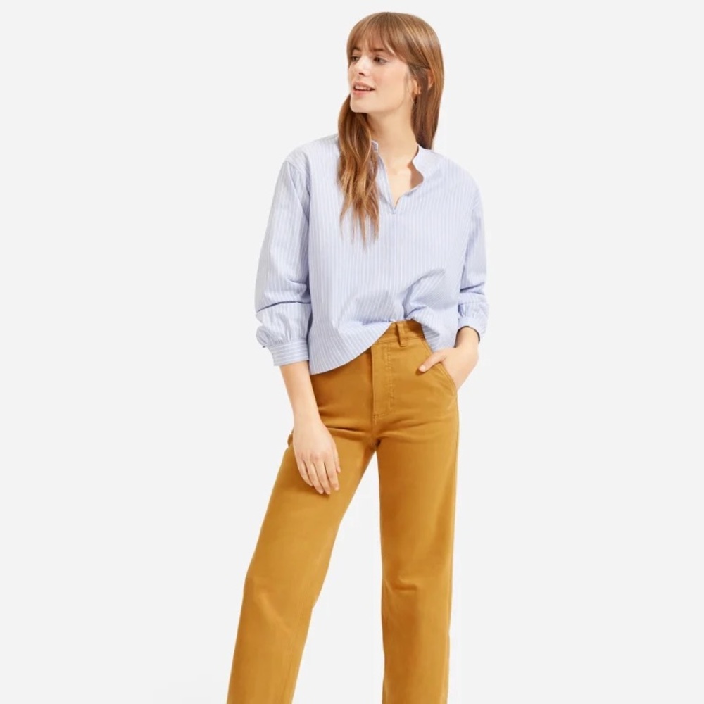 Everlane cropped pants
